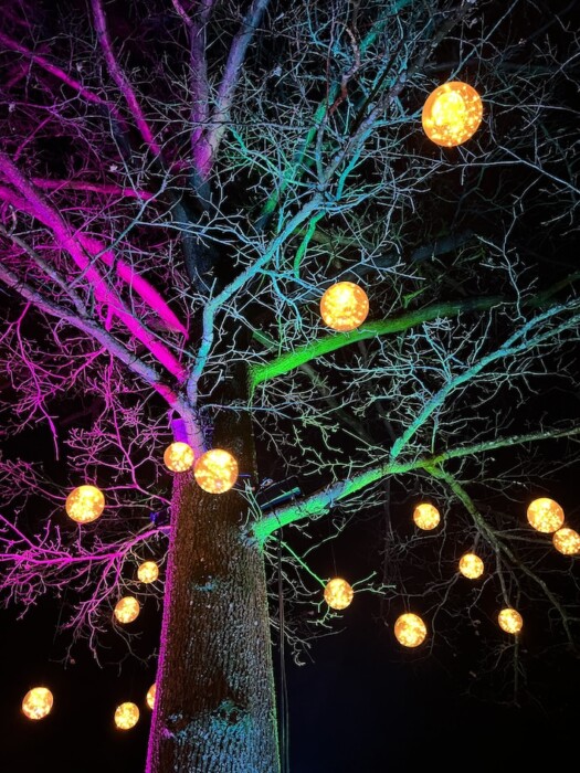 A new Halloween after-dark experience is coming to the American Museum & Gardens in Bath, with illuminated gardens, candlelit rooms and family fun.
