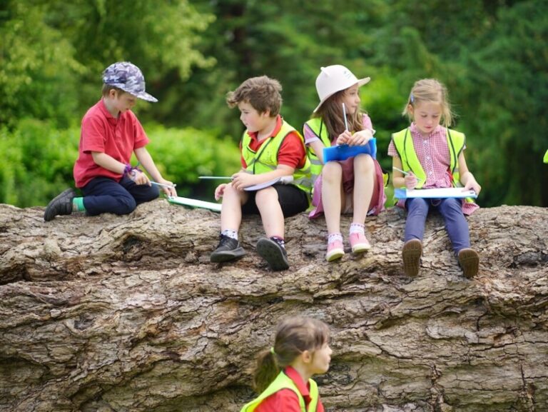 Forest of Imagination returns to Entry Hill, Bath, on 25 and 26 September with free family workshops, art, nature activities and a community feast.