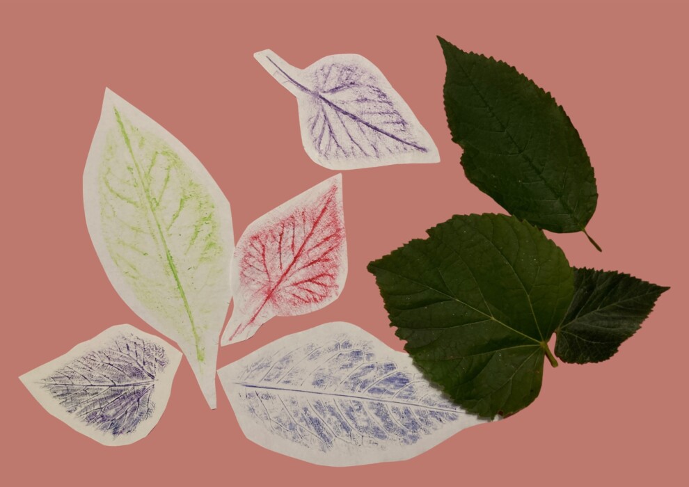 Discover family events in Bath this October half term, including autumn crafts, storytelling, pinhole cameras and planetarium shows.