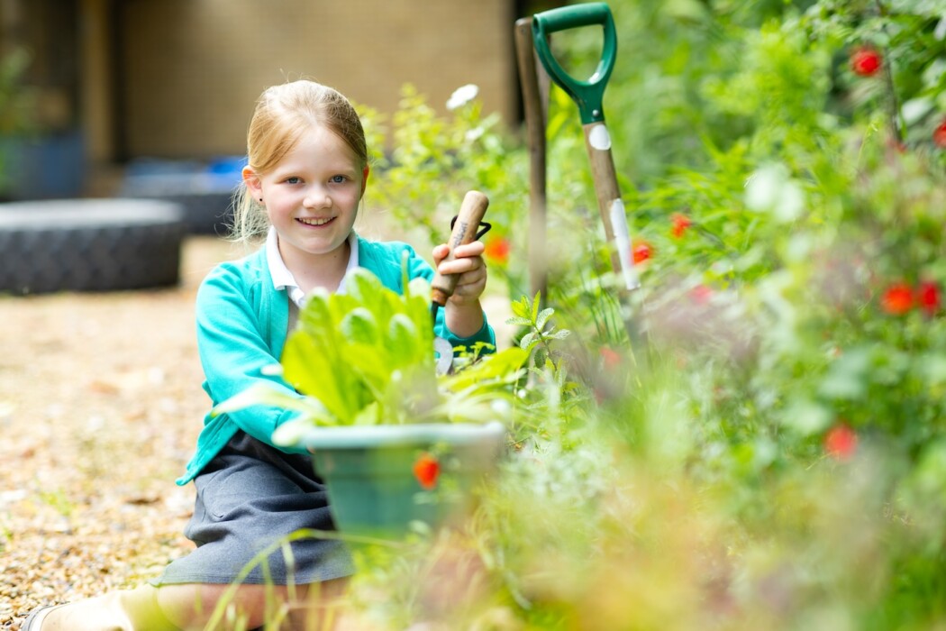 Acorn Education Trust has planted 350 trees in Tanzania, one for every new Reception pupil, creating a forest that will grow alongside its children.