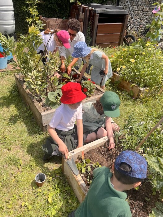 St Julian’s Church School in Wellow celebrates a Gold award at Bath in Bloom 2026, recognising pupils’ gardening achievements and community involvement.