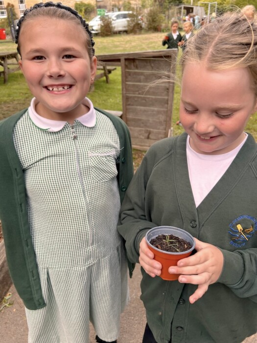 St Julian’s Church School in Wellow celebrates a Gold award at Bath in Bloom 2026, recognising pupils’ gardening achievements and community involvement.