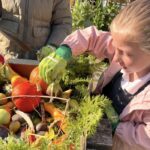 St Julian’s Church School in Wellow celebrates a Gold award at Bath in Bloom 2026, recognising pupils’ gardening achievements and community involvement.
