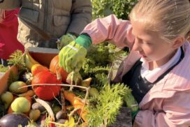 St Julian’s Church School in Wellow celebrates a Gold award at Bath in Bloom 2026, recognising pupils’ gardening achievements and community involvement.