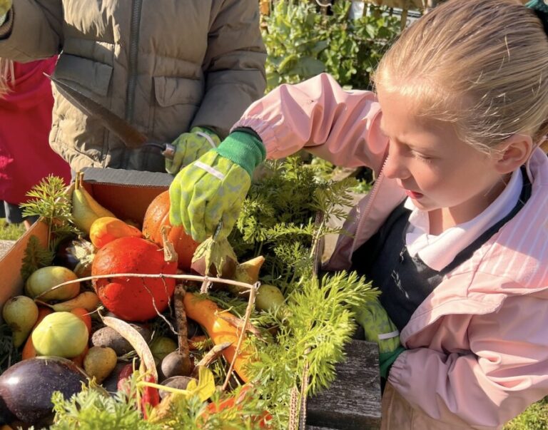 St Julian’s Church School in Wellow celebrates a Gold award at Bath in Bloom 2026, recognising pupils’ gardening achievements and community involvement.
