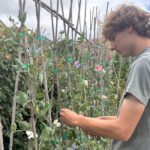 Bath teenager Finlay Lisk has been named the South West’s top landscape student after winning a 2026 BALI Chalk Fund Award.