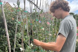 Bath teenager Finlay Lisk has been named the South West’s top landscape student after winning a 2026 BALI Chalk Fund Award.