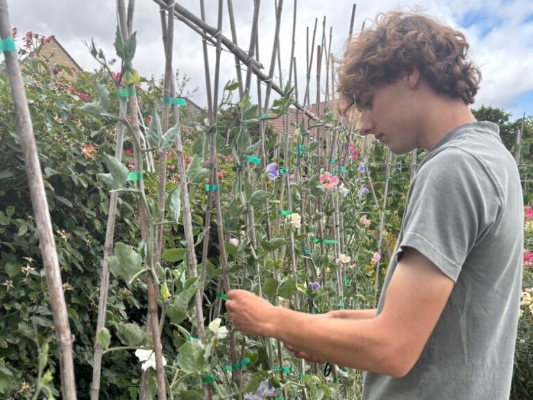 Bath teenager Finlay Lisk has been named the South West’s top landscape student after winning a 2026 BALI Chalk Fund Award.